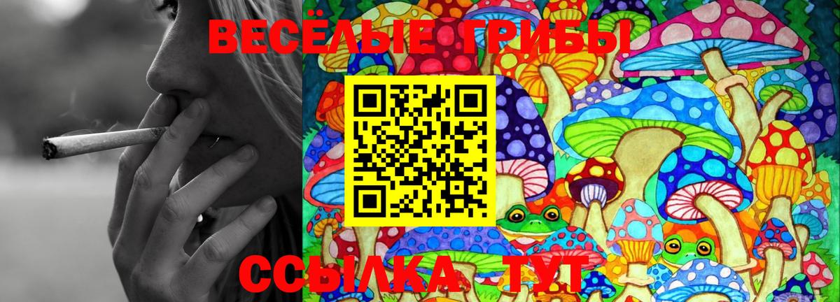 Киров  Псилоцибиновые грибы Magic Shrooms  Вход с VPN 